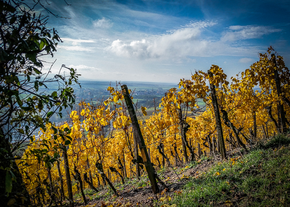 Wandern Steigerwald