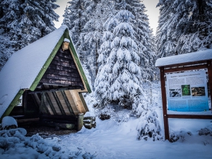 Hütte mit Infotafel