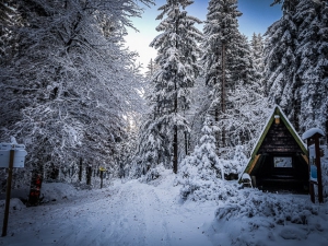 Wieder an der Hütte