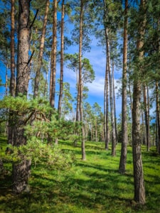 Trockenquellen-Tal-Tour