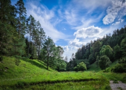 Hungerbrunnen-Tal-Tour aktuell