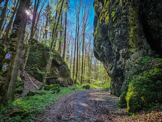 Viele Felsen in und um das Kleinziegenfelder Tal