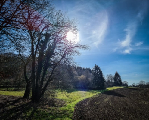 Schlüsselstein und Wallerwarte neu entdecken