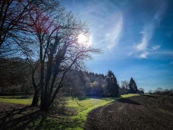 Schlüsselstein und Wallerwarte neu entdecken