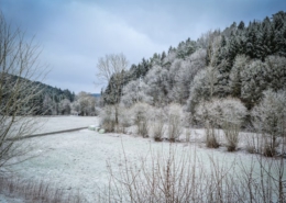 Schnee Rückkehr im März 2021