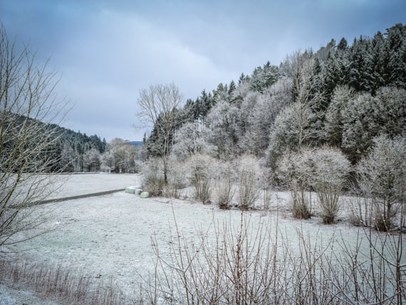 Schnee Rückkehr im März 2021