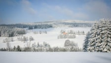 Tour Nr. 37 Schneeschuhwanderweg