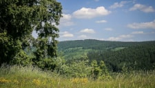 Tour Nr. 77 Wallenfelser Höhenweg