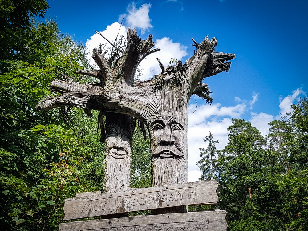 Wurzelfiguren beim Fichtelsee-151529-min