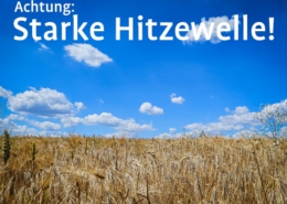 Aktuell Anfang Juli: Hitzewelle über 30 Grad