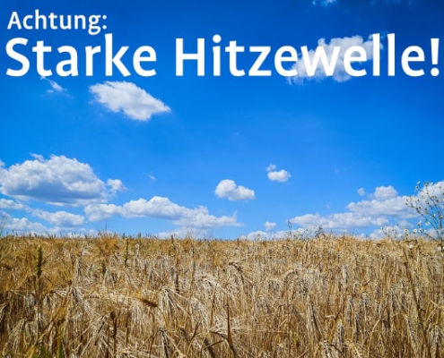 Aktuell Anfang Juli: Hitzewelle über 30 Grad
