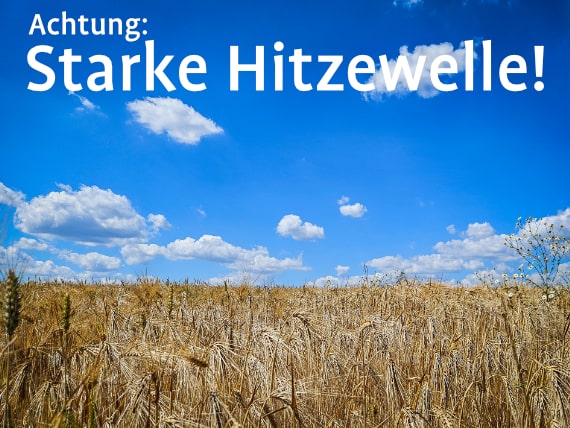 Aktuell Anfang Juli: Hitzewelle über 30 Grad