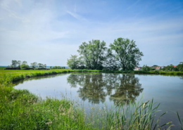 Aischgrund Wandertour aktuell