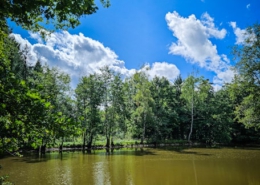 Altmühl-Ursprung Teufelshäusl aktuell