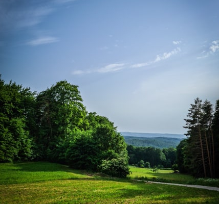 Burgruine Hollenberg