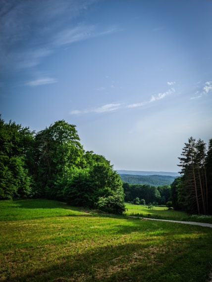 Burgruine Hollenberg