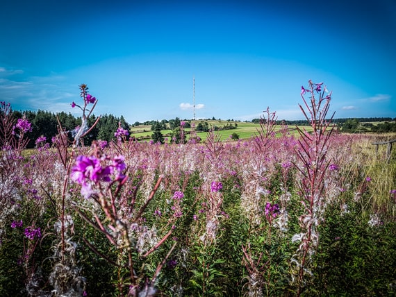 Rhön wandern