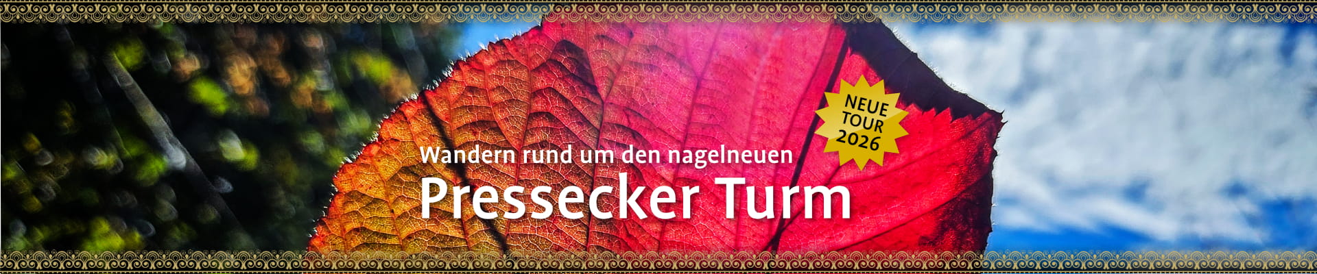 titelbild_tour_123_aussichtsturm-presseck-min