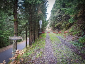 Breiter Weg hoch zum Ködelblick