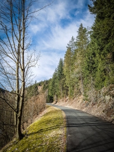 Geteerter Weg am Fjord entlang