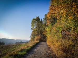 Weg am Hang am Waldrand