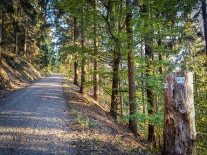 Kontinuierlich bergan