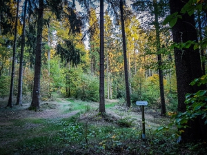 Abbiegen auf den Radspitzweg