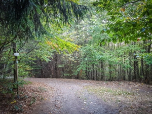 Höhenweg im Wald