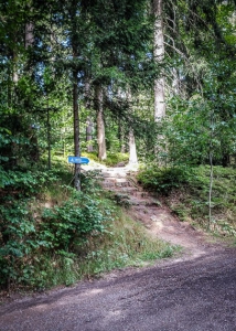 Pfad überquert Forstweg