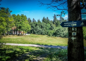 Große Lichtung beim Waldhaus im Steinwald