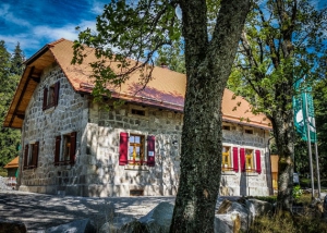 Das Waldhaus im Steinwald