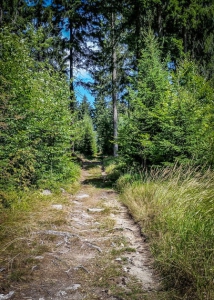 Natürlicher schöner Wanderpfad