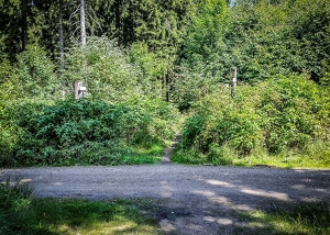 Wegkreuzung auf dem Bergsattel