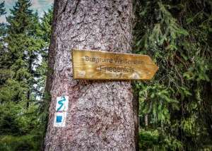 Holz-Wegweiser zur Ruine Weißenstein