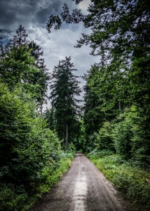 Breiter Schotterweg zurück