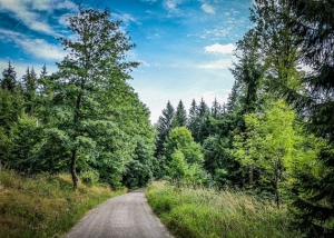 Letzte Weg-Etappe bergab zurück