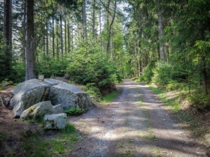 Findling mit Darstellung der Steinbehauung