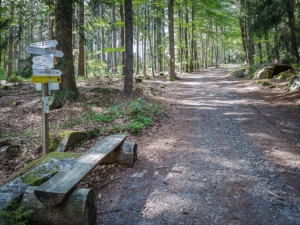 Gerade über Kreuzung hinweg