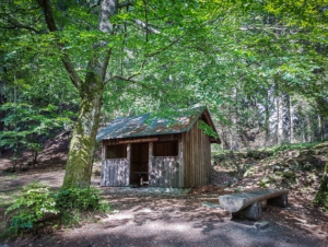 Hütte am Luisentisch am Epprechtstein