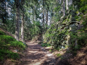 Weg hoch zur Ruine Epprechtstein