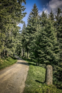 Forstrevier-Stein am Schneeberg