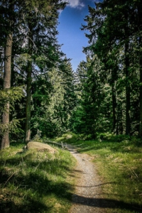 Schöner Wanderpfad führt bergab