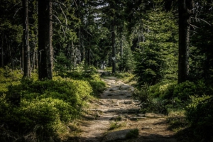 Felsiger Weg leicht bergab