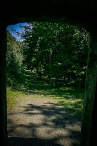 Blick aus der Turm-Tür