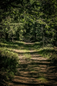 Gerader schöner Wanderweg an Bergkante entlang