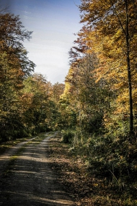 Zweiter geschotterter Ringweg