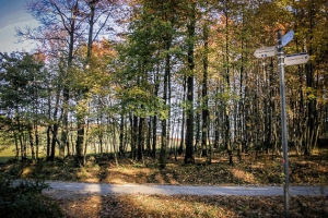 Schotterweg ganz oben