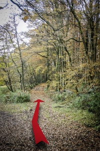 An länglicher Wegkreuzung geradeaus in den Wald