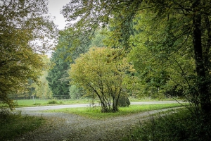 Dreiecks-Kreuzung mit Findling-Stein