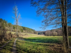 An einer Art Allee und an einzelnen Bäumen entlang